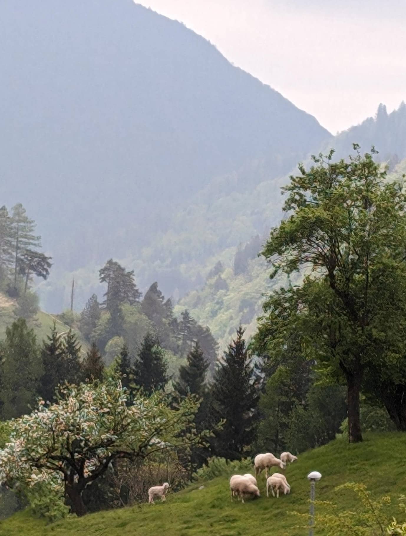 wunderschöner Blick auf die Natur